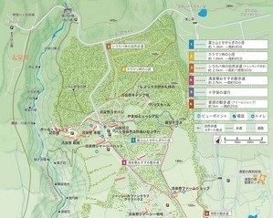 トレイルマップ