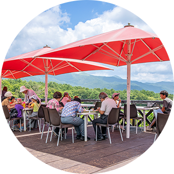 バス旅行、日帰り旅行ご担当者様