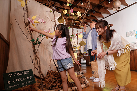 清泉寮のミュージアムめぐり