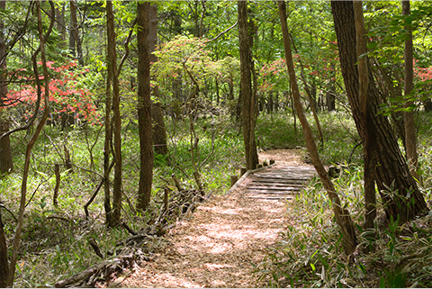 自然を学び、自然と親しむ