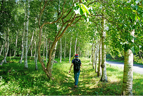 清泉寮を歩いてみる