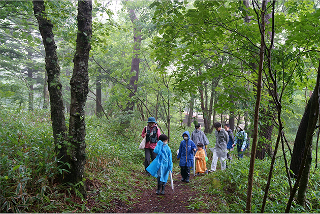 雨の日の散策と体験プログラム