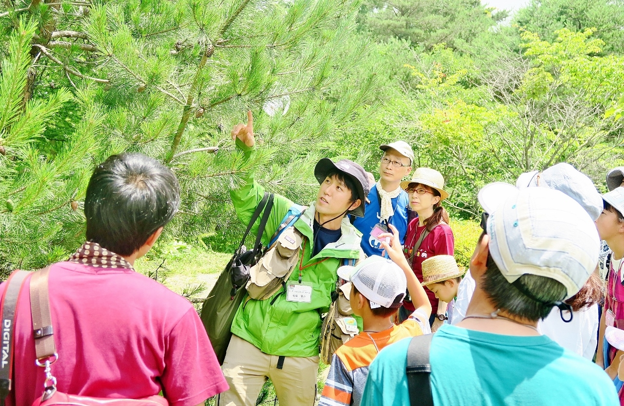 ガイドウォーク