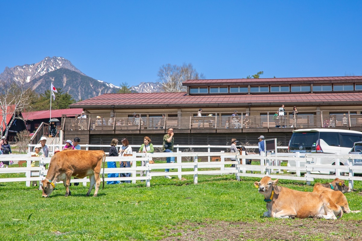 2025夏の特設ページ