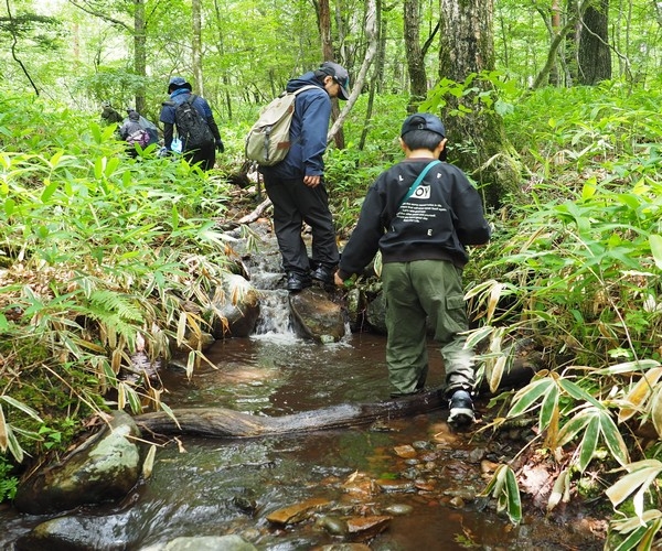 やまなし名水のヒミツをさぐれ!いきもの大そうさく~