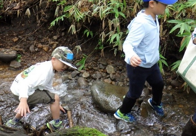 山梨の名水のひみつをさぐる!いきものみつけ隊