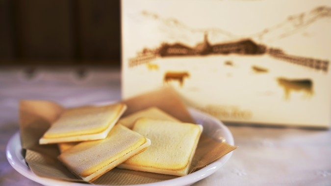 ヤマネのぬいぐるみ