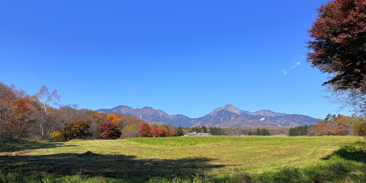 自然学校の様子