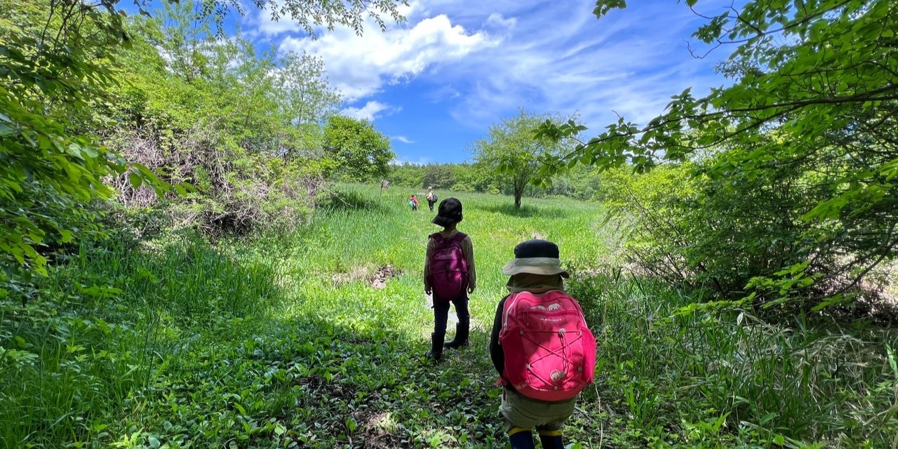 自然学校の様子