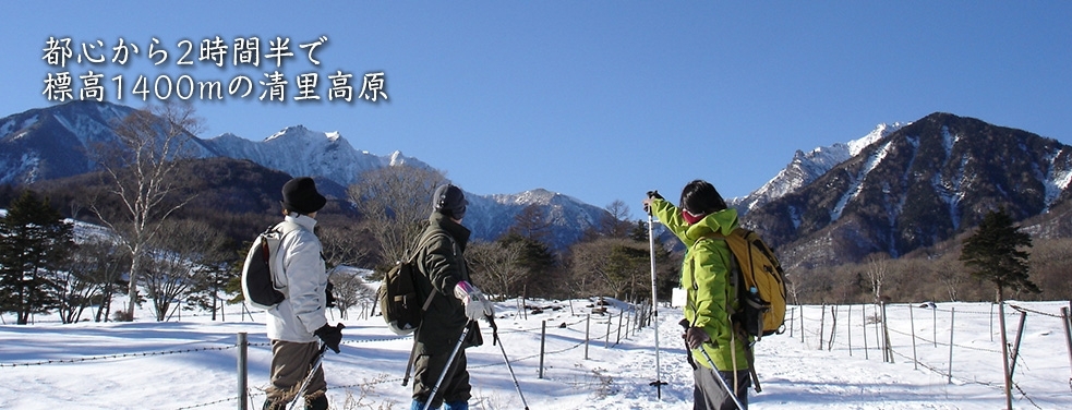 冬の美しい雪景色