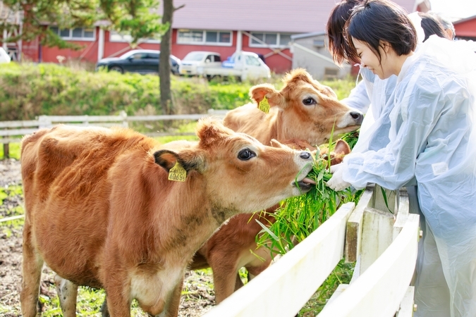 ジャージー牛ファンクラブ