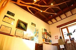 展示4
