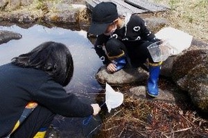 水辺の生きものと森