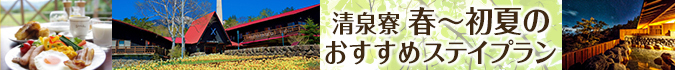 清泉寮のおすすめすステイプラン