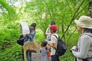 森を歩く1時間 ガイドウォーク
