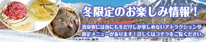 冬限定！今だけのおススメ