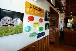 展示1