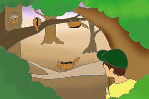 ヤマネの保護4