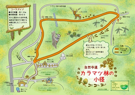 カラマツ林の小径MAP